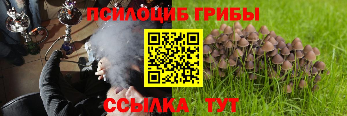 Псилоцибиновые грибы мицелий  Вход с VPN  Белгород 